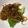 ♬のんのこ日和♬'s cooksnap of when they made もずくきゅうり.