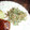 mimiko10's cooksnap of when they made もやし炒め.