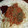 mimiko10's cooksnap of when they made うちのミートソース.