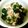Lycheesoda's cooksnap of when they made 新たまねぎとわかめのツナサラダ♪.
