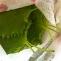 まめちゃんの友達's cooksnap of when they made 大葉の保存法.