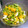 るるxxx's cooksnap of when they made クレソンとはっさくのサラダ.