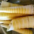 セビル's cooksnap of when they made 筍のあく抜き.