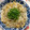 cocoron734's cooksnap of when they made 月末の＊＊モヤシと卵の炒め物＊＊.