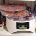 パシフィコハウス's cooksnap of when they made 安心無添加☆食品乾燥機でささみジャーキー.