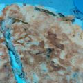 ちょこマロンちゃん's cooksnap of when they made 簡単！ニラ玉風チヂミ♪.