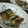 すいりん's cooksnap of when they made さんまのしそ蒲焼*.