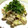ツボッち's cooksnap of when they made 有効利用(^ω^)豚こまの青しそドレ炒め.