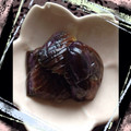 нιйατα's cooksnap of when they made なすの簡単煮物.