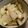 よん妻's cooksnap of when they made カブの甘酢漬け.