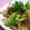 にゃぁくん's cooksnap of when they made れんこん＆にんにく炒め.