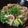 Yooboo's cooksnap of when they made あったか 挽き肉うどん.