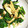 にゃにゃママたん's cooksnap of when they made エリンギとほうれん草のバター炒め.