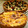 きみ子's cooksnap of when they made 簡単！洋梨のカスタードタルト☆.