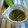 黒豚チョコ's cooksnap of when they made もやしと卵のオイスタースープ.