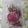 junjun7573's cooksnap of when they made 桜の花の塩漬け.