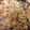 sayaasu's cooksnap of when they made 炊飯器におまかせ☆ひじきごはん.