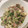 かおりんぱんだ's cooksnap of when they made 楽うまっ♪鶏肉と長芋のネギ塩炒め〜.