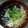 IzumI５'s cooksnap of when they made 筍とワカメのお味噌汁(o^－^o).