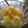 りんごⓒ's cooksnap of when they made すぐだよ☆簡単バニラアイス.