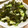 ももんじゃー's cooksnap of when they made ぱぱっと☆ワカメ炒め.