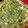 waco0707's cooksnap of when they made おくらとめかぶと納豆の柚子胡椒風味.