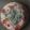 アーーン's cooksnap of when they made あさりのパエリア.