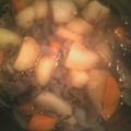マテキキ's cooksnap of when they made 我が家の定番＜肉じゃが＞.