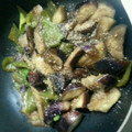 みずほちゃん's cooksnap of when they made あっさり副菜☆茄子の煮浸し＋柚子胡椒.