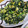 ゆけり３兄弟's cooksnap of when they made 簡単ほうれん草と卵のバター炒め.