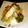 みーちゃん１０'s cooksnap of when they made 照り焼きたれで　タラの芽の肉巻き.