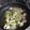 サロちゃん's cooksnap of when they made フライパンで鶏肉と白菜のコンソメ煮♡.