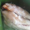 もち子料理's cooksnap of when they made 簡単！鯖の塩麹漬け.