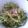 e0m9i2k5o's cooksnap of when they made こんなにおいしかった☆セロリ☆.
