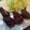 まなみみみ's cooksnap of when they made お家で美味しいスペアリブを焼こう♪.