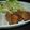 ゆうかりコアラ's cooksnap of when they made 豚薄切り肉で柔らかなんちゃってから揚げ.