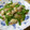 しのばぁたん's cooksnap of when they made お弁当のおかず★イカと絹さやの中華風.