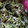 mizu3hugh3's cooksnap of when they made ほうれん草たっぷり白和え.