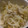 グッドナッツ's cooksnap of when they made 豆もやしとササミの梅しそ和え.