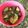 BONCOTON's cooksnap of when they made なすの煮浸し.