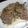 いなばにぃ's cooksnap of when they made 豚肉のネギ塩焼き.