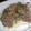 いなばにぃ's cooksnap of when they made 豚肉のネギ塩焼き.