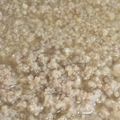 miikariin's cooksnap of when they made 簡単トロトロ〜鶏そぼろ♪(´ε｀ ).