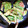 むらさめもんがら's cooksnap of when they made こごみの、ほんだしかつお節一夜漬け.