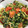 オーガスター's cooksnap of when they made トマトとほうれん草のたまご炒め.