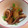 mihochoｃomama's cooksnap of when they made ∮イカと大根の煮物∮.