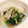 minibot's cooksnap of when they made 簡単3分★春菊のマヨぽん和え.