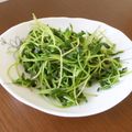 よちりん's cooksnap of when they made あと一品やお弁当に！豆苗ゴマ油炒め.