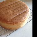 ぴょんすっ's cooksnap of when they made ふんわり優しい♪別立てスポンジ.