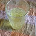 たんぽぽみーちゃん's cooksnap of when they made ダイエットにも可♡超簡単☆りんごサイダー.